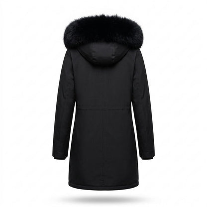 Allsaints Leather - Armir | Hooded Padded Coat Women