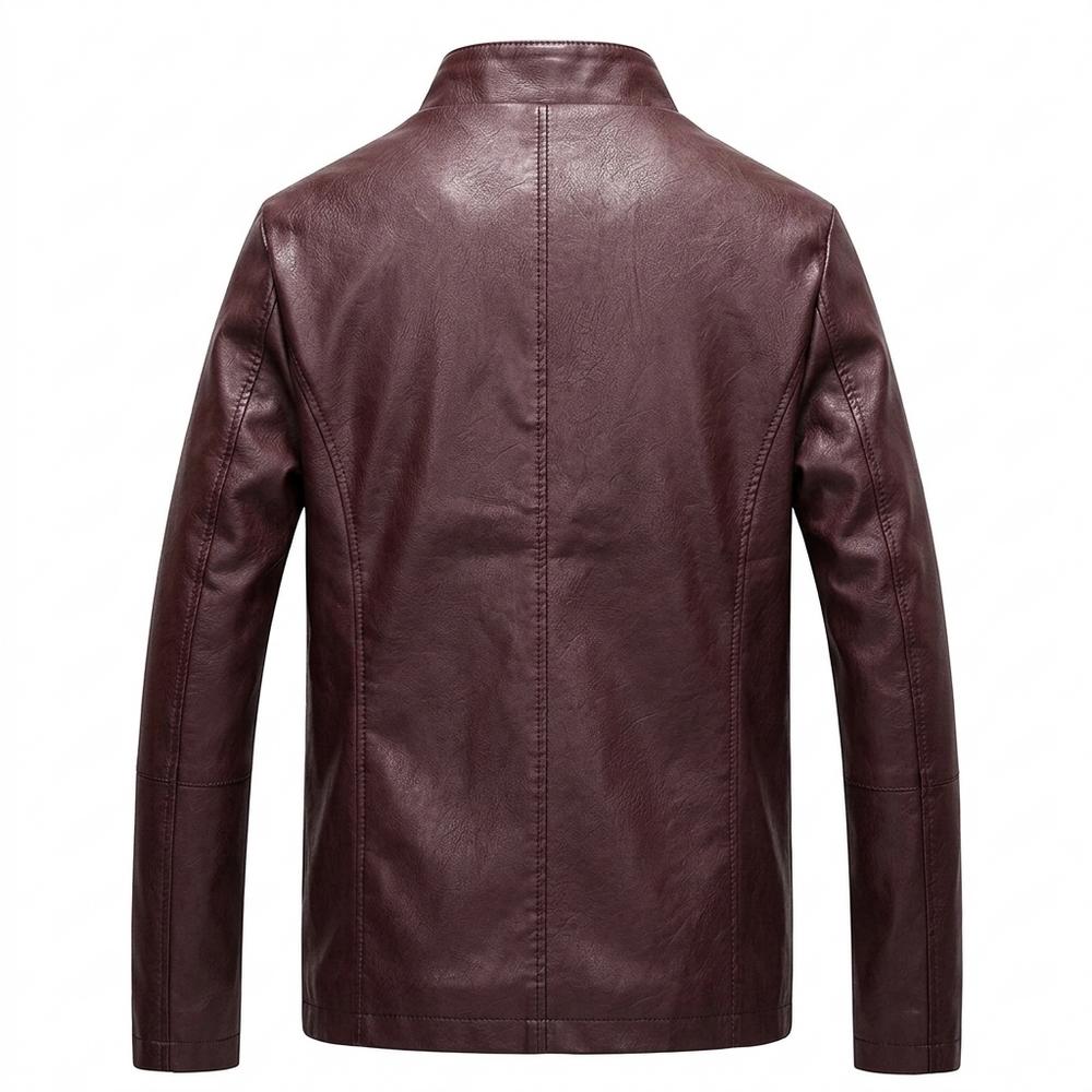 Allsaints Leather - Levan | Lined Stand-Collar Leather Jacket Men