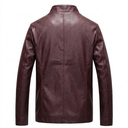 Allsaints Leather - Levan | Lined Stand-Collar Leather Jacket Men
