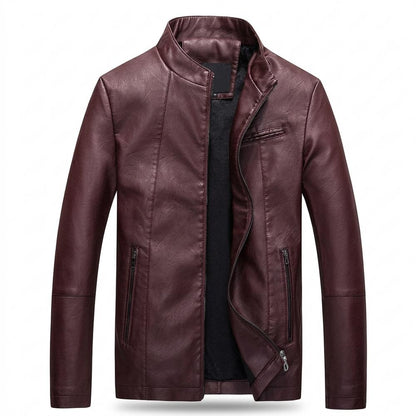 Allsaints Leather - Levan | Lined Stand-Collar Leather Jacket Men