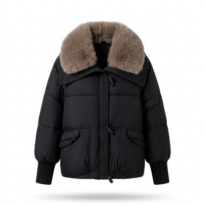 Allsaints Leather - Rasil | Padded Fur-Collared Jacket Women